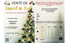 COMMANDEZ VOS SAPINS DE NOËL NORDMANN